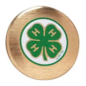 1" Gold Button