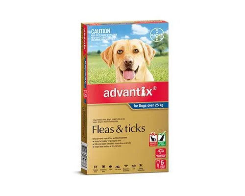 ADVANTIX DOG XL 25KG  6PACK