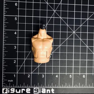 Barrel Chested Torso (C)