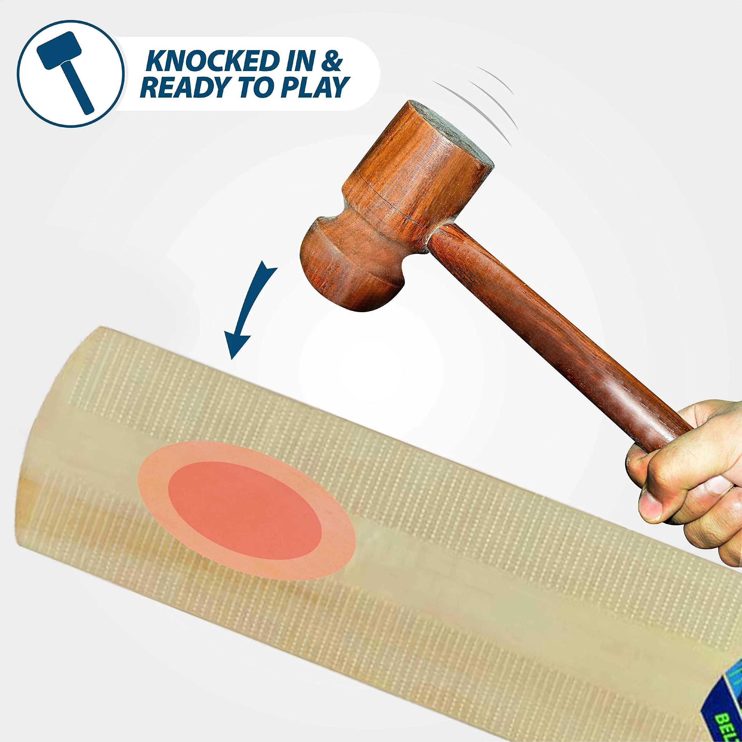 Belter Wood Kashmir Willow Cricket Bat Short Handle Mens (Multicolour)