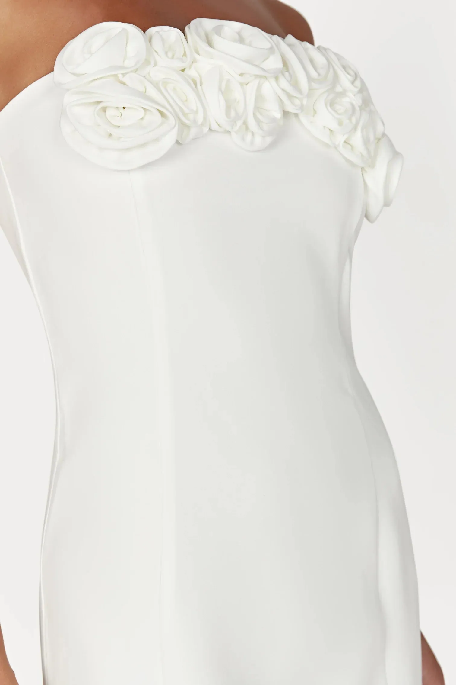 Brooks Rose Stylish Mini Dress