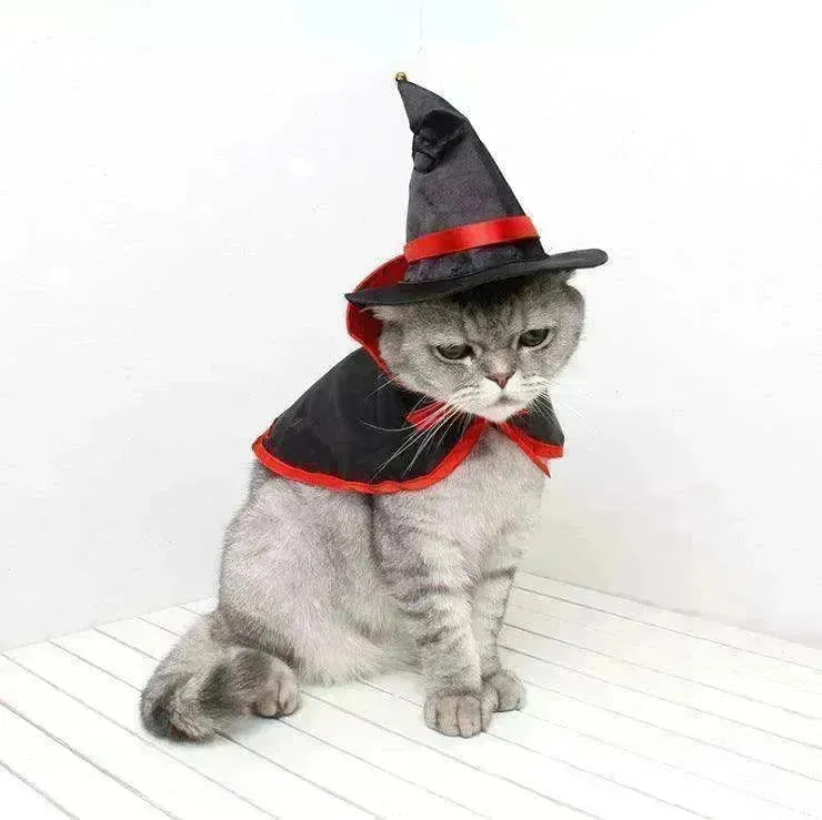 Cross border Halloween Pet Cloak Saint costume
