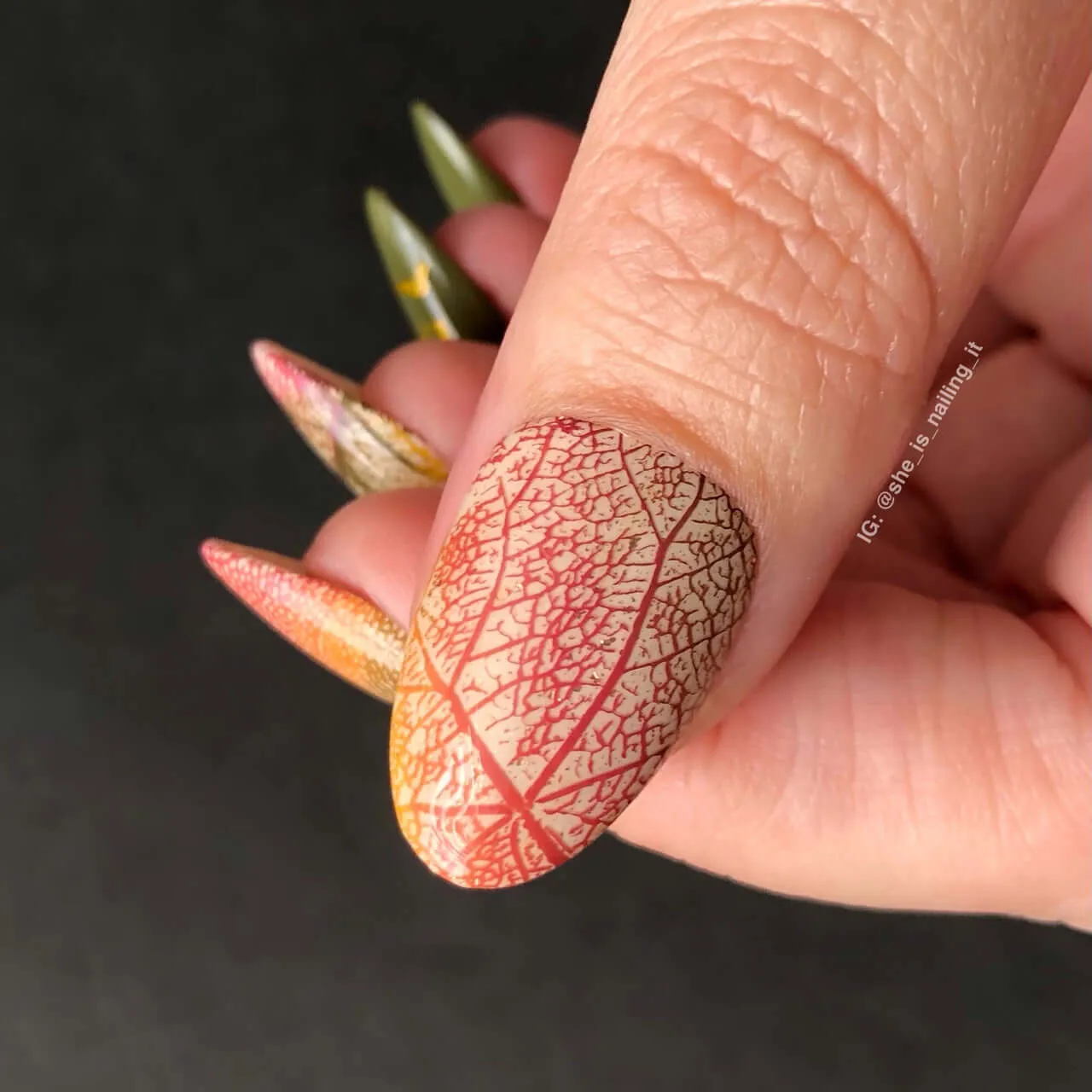 Graceful leaves (CjS-318) Steel Nail Art Layered Stamping Plate