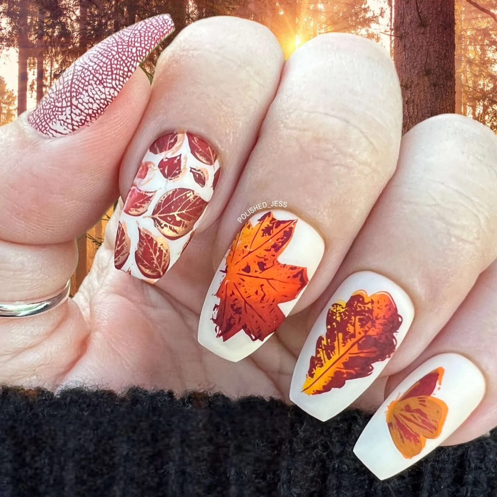 Graceful leaves (CjS-318) Steel Nail Art Layered Stamping Plate