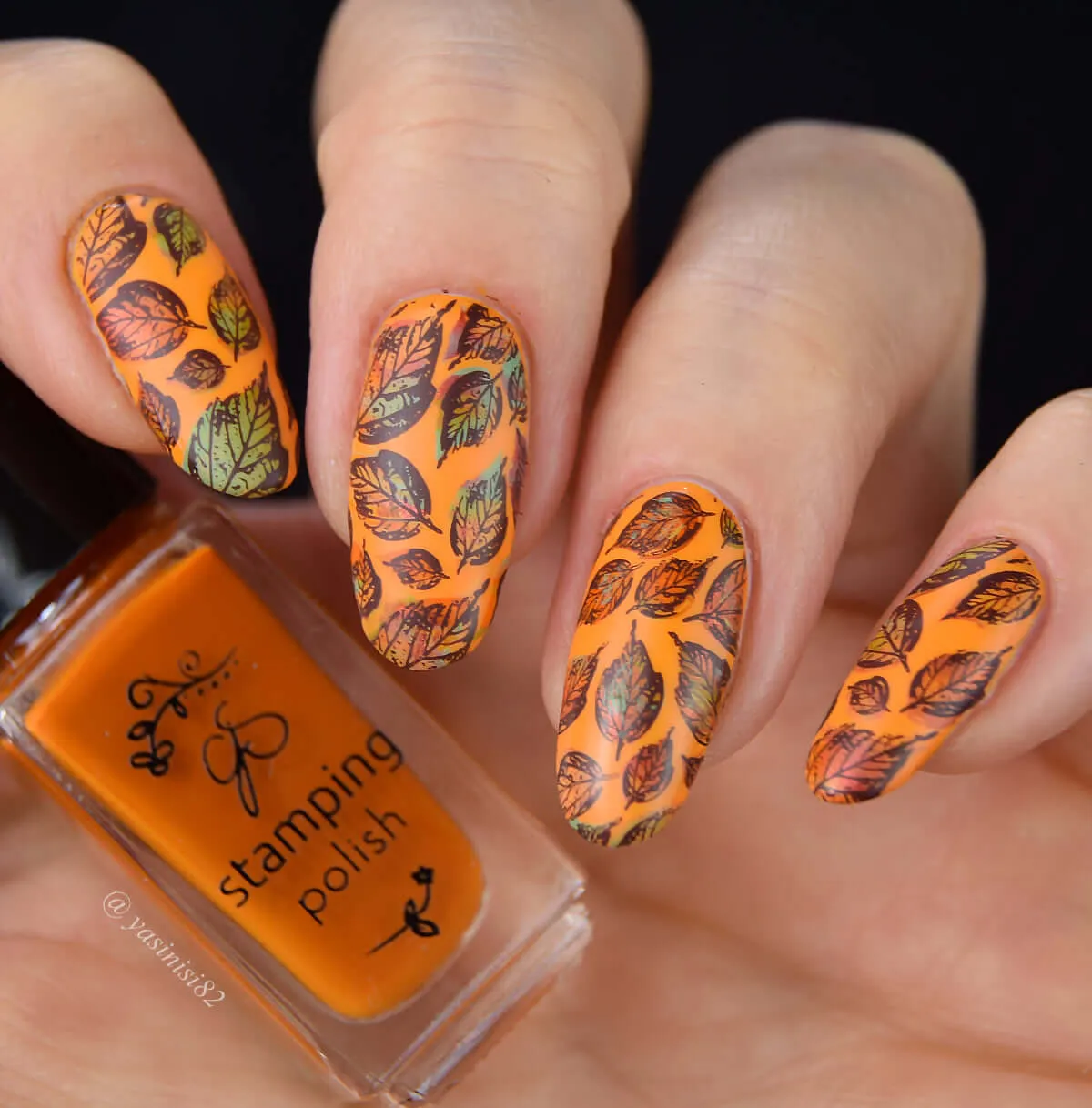 Graceful leaves (CjS-318) Steel Nail Art Layered Stamping Plate