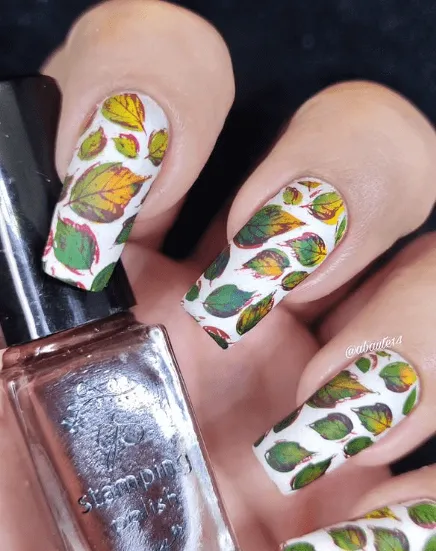 Graceful leaves (CjS-318) Steel Nail Art Layered Stamping Plate