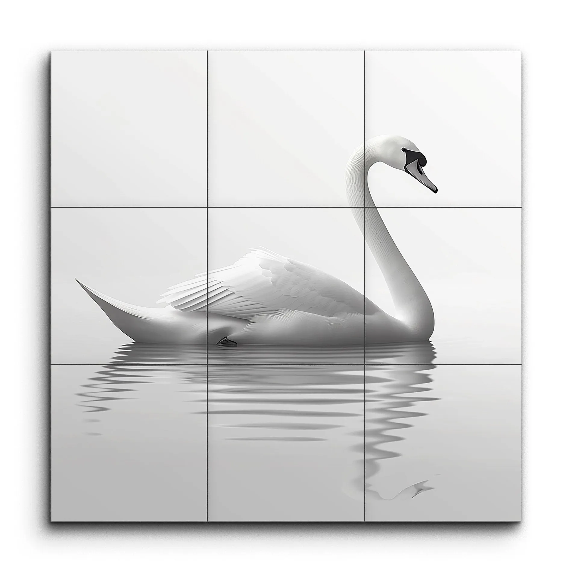 Graceful Swan on Tranquil Waters