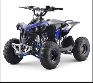 Kids Quad Bikes Electric 1060W Tubeless Tyre