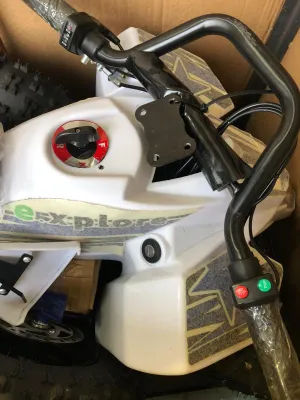 Kids Quad Bikes Electric 36V 500W