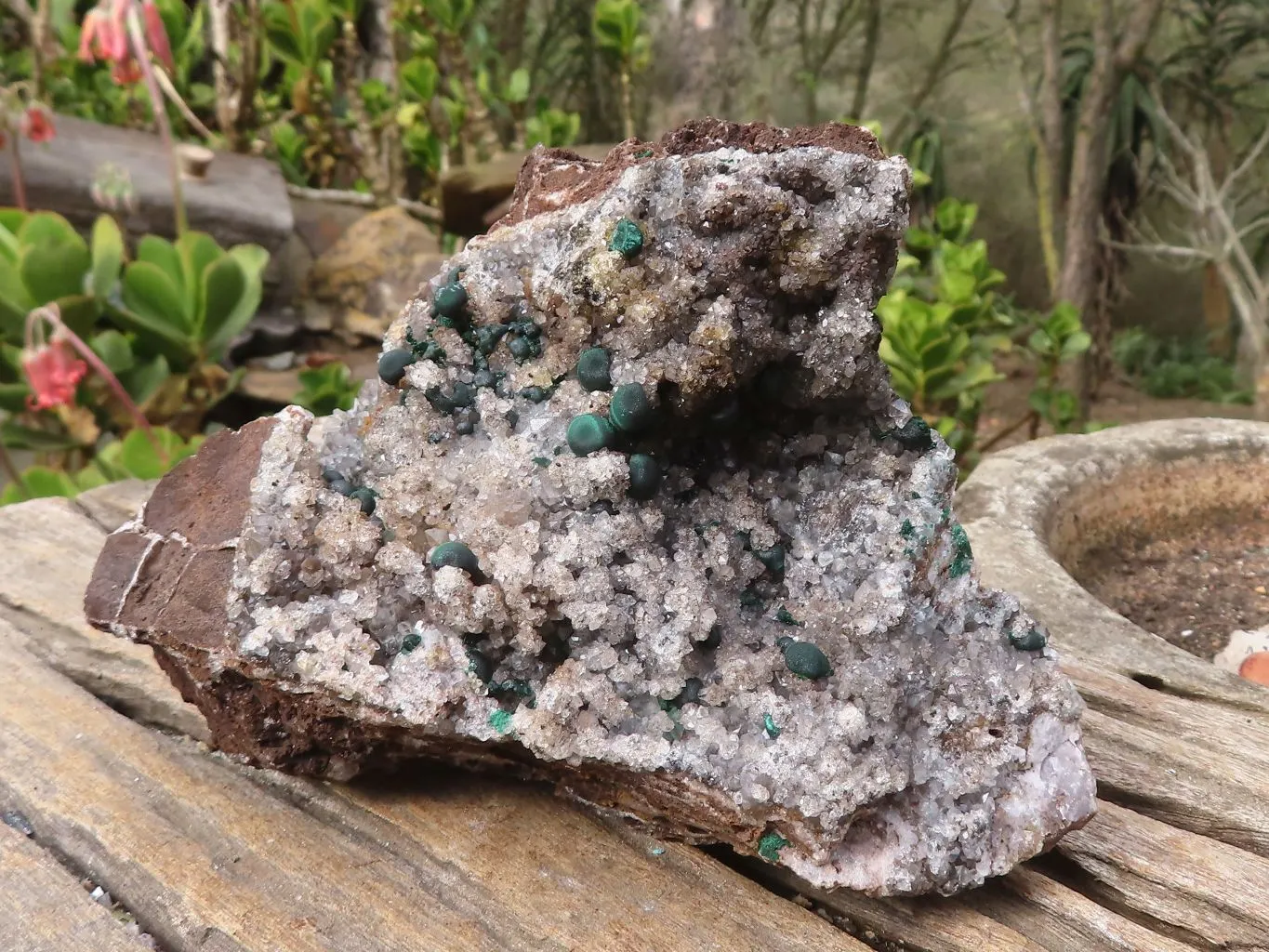 Natural Rare Ball Malachite On Drusi Quartz & Dolomite Matrix  x 1 From Kambove, Congo