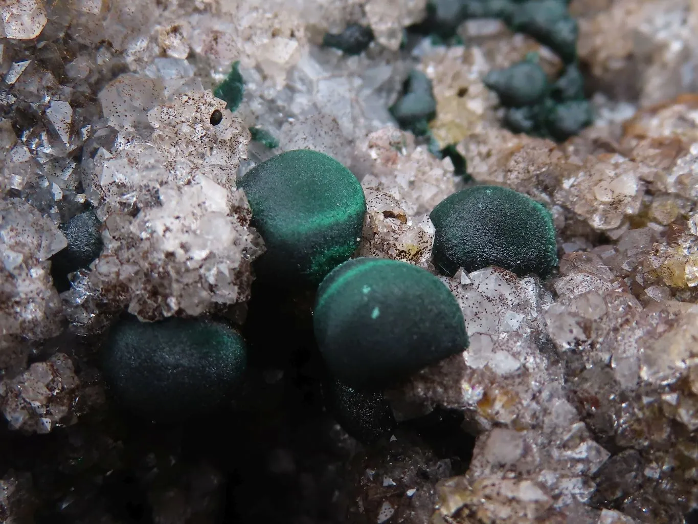 Natural Rare Ball Malachite On Drusi Quartz & Dolomite Matrix  x 1 From Kambove, Congo