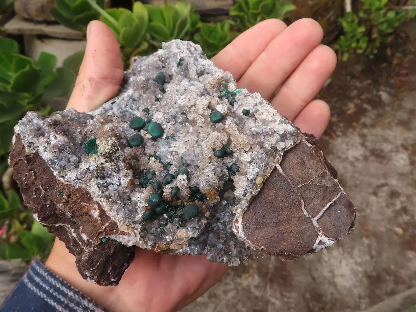 Natural Rare Ball Malachite On Drusi Quartz & Dolomite Matrix  x 1 From Kambove, Congo