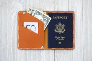 Passport Wallet In Tan