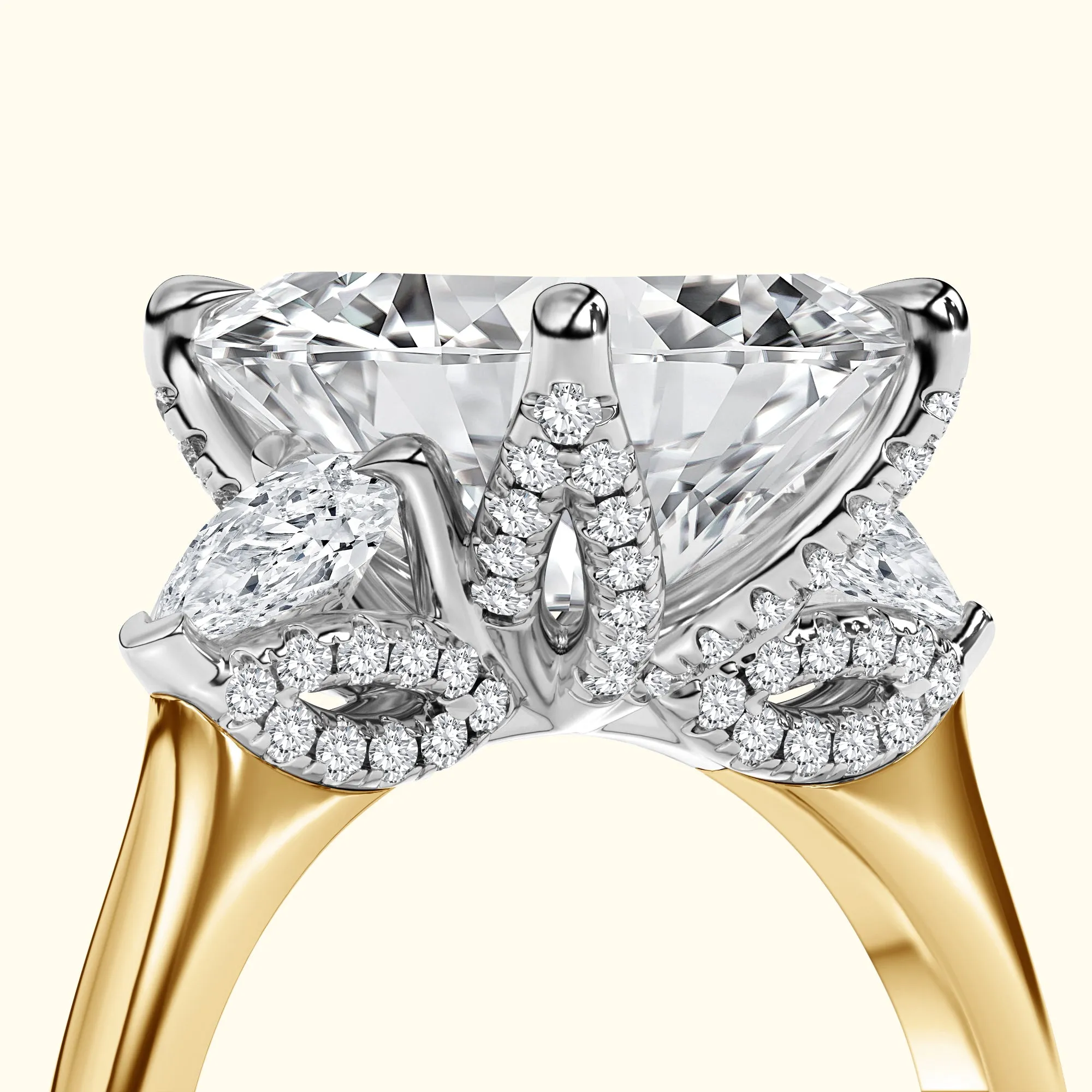The 'Rose' Setting